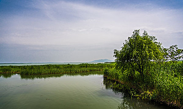 太湖风景