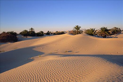 杜兹,撒哈拉沙漠,突尼斯