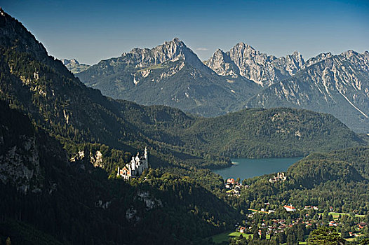城堡,新天鹅堡,湖,靠近,巴伐利亚,德国,欧洲