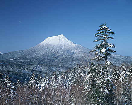 山,冬天