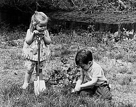 男孩,种植,植物,草地,女孩,站立,旁侧