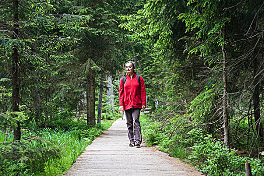 女人,远足,树林,靠近,湖,巴伐利亚森林国家公园,下巴伐利亚,德国,欧洲