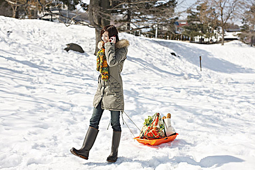 女人,购物袋,雪撬