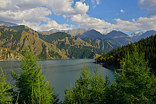 天山天池的景色