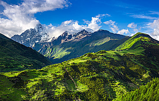 夏天的山野四姑娘山