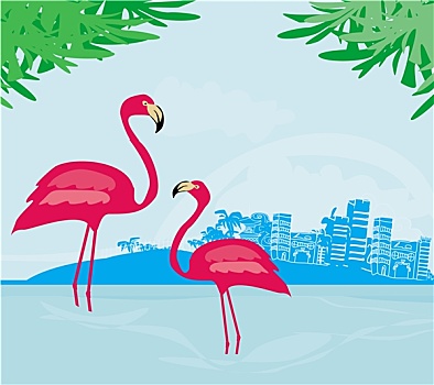 插画,绿色,棕榈树,粉红火烈鸟