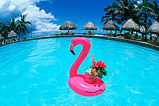 库克群岛,拉罗汤加岛,胜地,水池,热带饮料,粉红火烈鸟,漂浮,固定器具