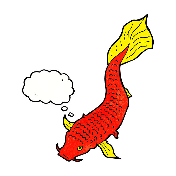 卡通_鱼_思考_泡泡_高清图片_全景视觉