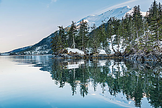 积雪,山,海岸线,树,反射,水,泻湖,楚加奇国家森林,阿拉斯加,美国