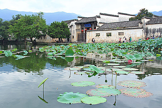 黟县宏村