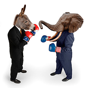 美国,共和党,民主党,吉祥物,驴,大象,对峙,职业套装,红色,白色,蓝色,拳击手套