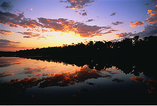 日落,上方,树,水,菲茨罗伊,西澳大利亚,澳大利亚
