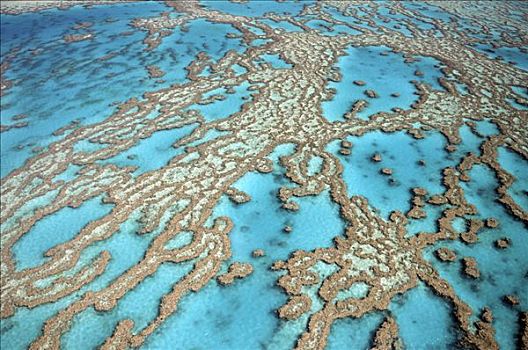 礁石,环礁,大堡礁,澳大利亚