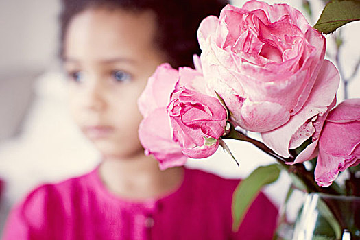 粉色,玫瑰,小女孩,背景