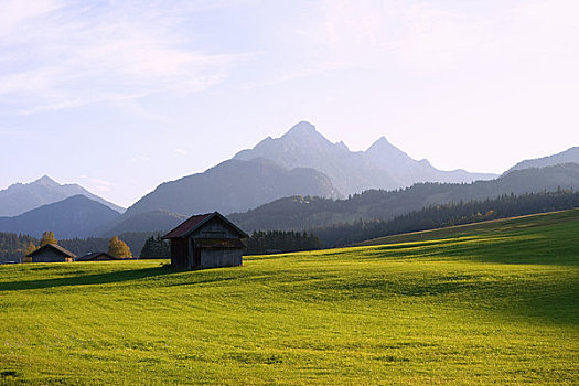 草地,山峦,巴伐利亚