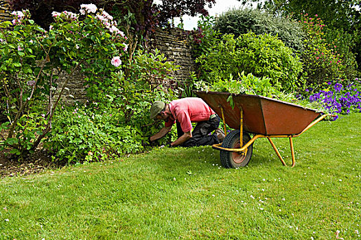 园丁,工作,花园