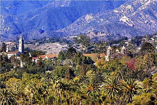 教区,圣芭芭拉,山,棕榈树,加利福尼亚