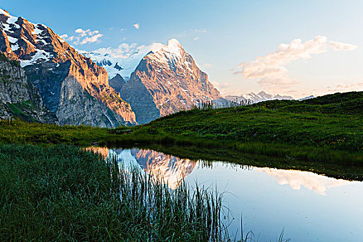 反射,水塘,贝塔峰,艾格尔峰,顶峰,伯尔尼阿尔卑斯山,瑞士