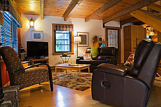 皮革,沙发,木质,茶几,客厅,加拿大,屋舍,风格,原木,家