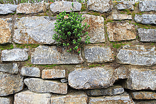天然石,墙壁