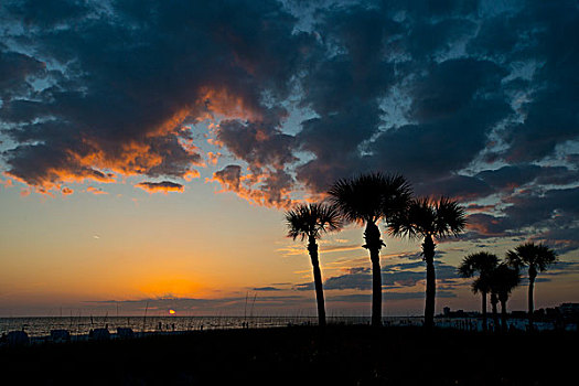 佛罗里达,午休,钥匙,月牙状,海滩,棕榈树,多云,死亡,日落