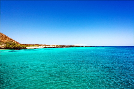 青绿色,水,加拉帕格斯群岛