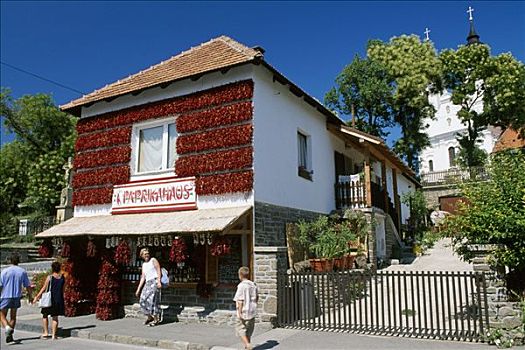 店,销售,红辣椒,巴拉顿湖,匈牙利,欧洲