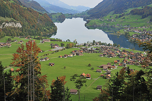俯视,乡村,湖,伯尔尼阿尔卑斯山,瑞士