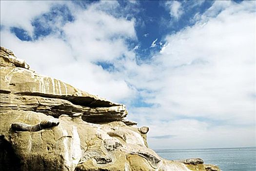 仰视,悬崖,礁石,圣地亚哥湾,加利福尼亚,美国