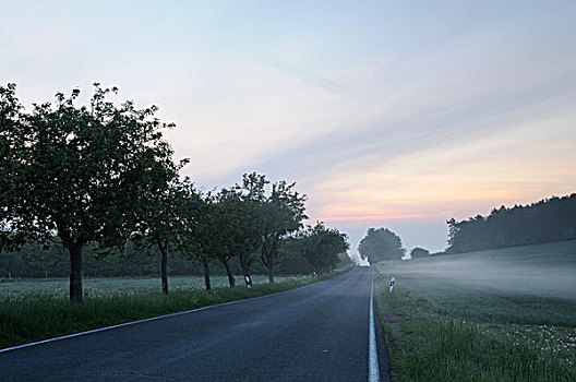 雾,道路,靠近,图林根州,德国,欧洲