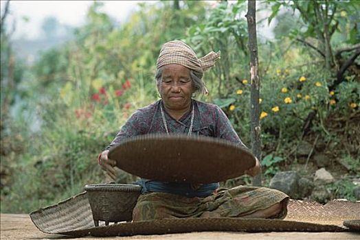 老太太,分隔,稻米,种子,外皮,山村,高处,波卡拉,尼泊尔