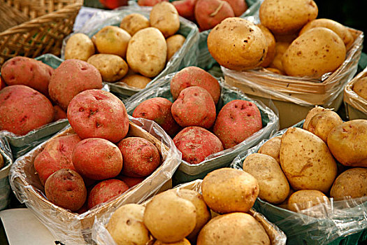 红色,白色,有机,土豆,农贸市场