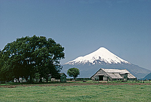 智利,农场,风景,火山,背影