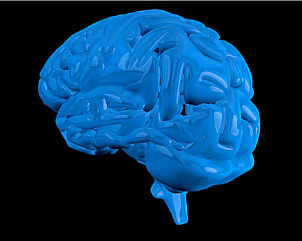 蓝色,大脑