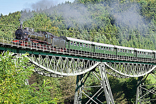 列车,高架桥,靠近,布隆伯格,黑森林,巴登符腾堡,德国,欧洲
