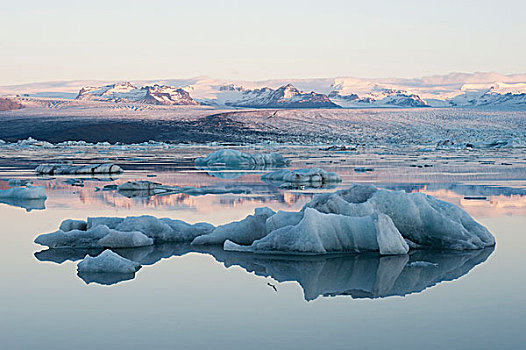 冰山,冰河,泻湖,南,冰岛