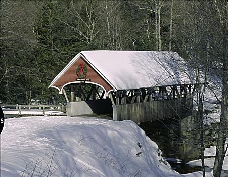 桥,弗兰科尼亚山峡州立公园,新罕布什尔,美国