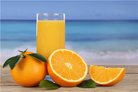 橙子,海岸,休假
