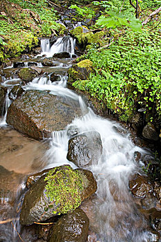 水,层叠,俯视,石头,胡德山国家森林,俄勒冈,美国