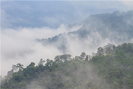 雾,云,山谷,风景