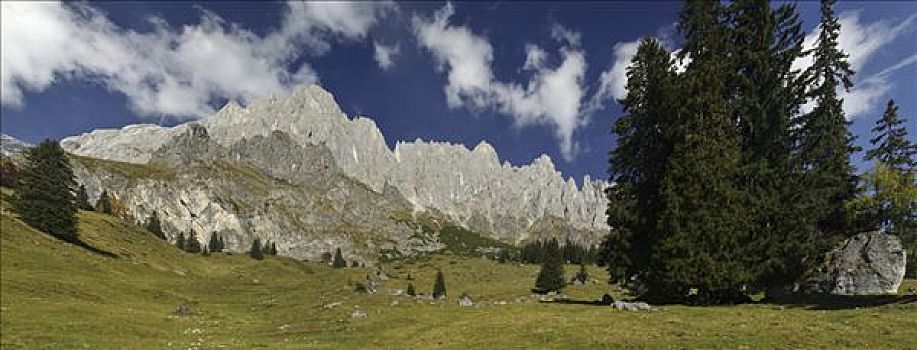 山景,岩石构造,针叶树,阿尔卑斯山,贝希特斯加登阿尔卑斯山,山,萨尔茨堡,奥地利,欧洲