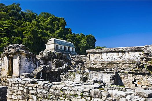 古遗址,庙宇,帕伦克,恰帕斯,墨西哥