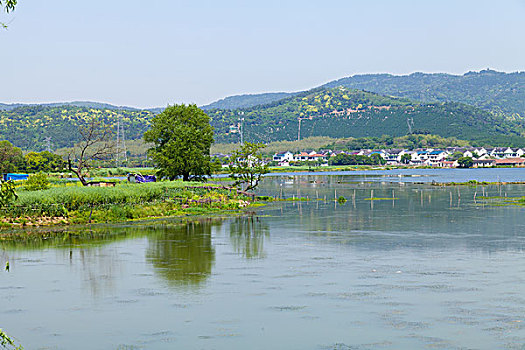 苏州旺山村风光