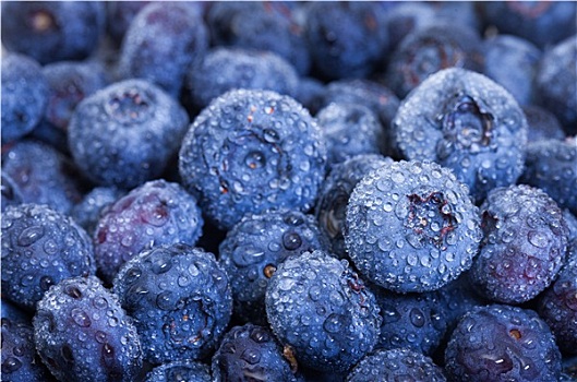 湿,新鲜,蓝莓,浆果
