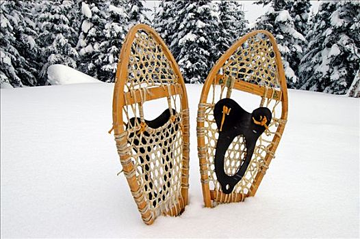雪鞋,雪地,魁北克,加拿大,北美