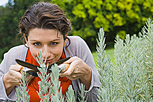 女人,植物