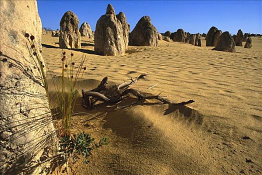 石灰石,顶峰,荒芜,南邦国家公园,公里,北方,佩思,澳大利亚