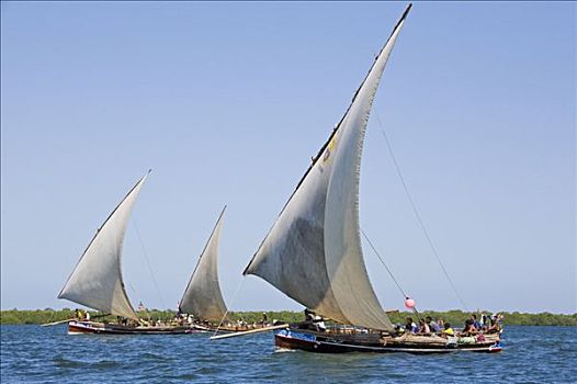 肯尼亚,拉穆群岛,传统,木质,帆船,航行