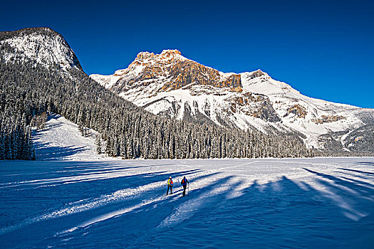 两个人,滑雪,翡翠湖,后背,顶峰,加拿大,落矶山