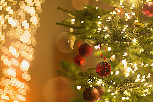 红色,装饰,悬挂,圣诞树,线,光亮